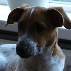 Myn Buddy!:D