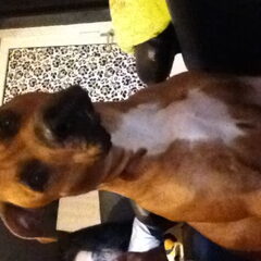 Chica die weer een pose laat zien ! Wat een foto model!!