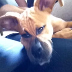 Chica gefotobhoot!