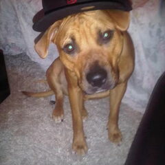Chica aan t poseren !