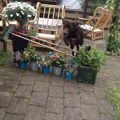 Springen!