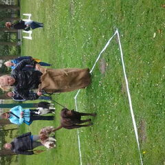 Zaklopen op de FUNDAY :D