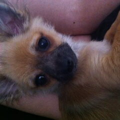 Mijn kleine jongen word groot