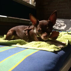 Genieten van de zon