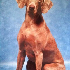 Zoë..bijna 1 jaar. Wat gaat het toch snel!