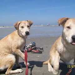 lara samen met haar broertje aan zee