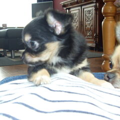 Mijn twee schatjes....Daisy en Ricky