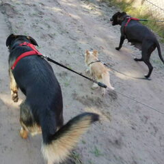 Wandelen met de groten :)