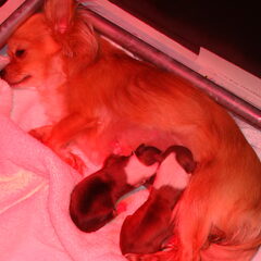 Welkom thuis!!!