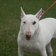 Stoere maar oh zo lieve meid