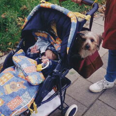 Toen ik baby was, was Ricky al altijd bij me, als een soort…