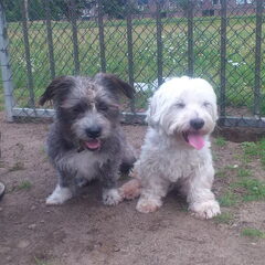 Skippy & Fay, sinds 18-08 ons leuke stel!