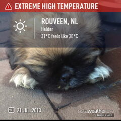 Het is zo warm
