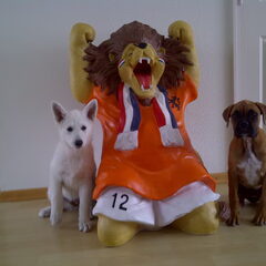 holland !!!