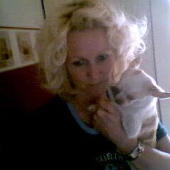 dat is mijn lief klein chihuahuake lieze-lotje ze is klein…