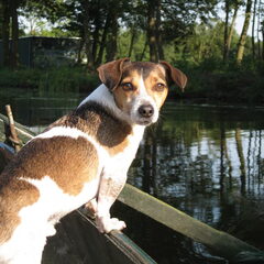 Spikey 2011 mee in de Visboot