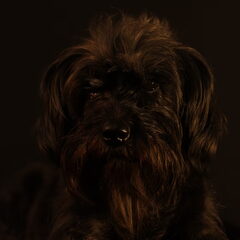 Darkness...