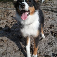 En...al weer...die oortjes :-)