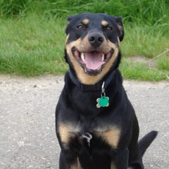 Sam