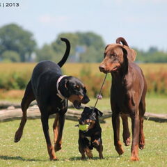 Nelson Max en Giulia