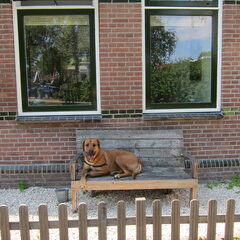Protecting the house (not)