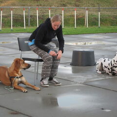 Cursus!!