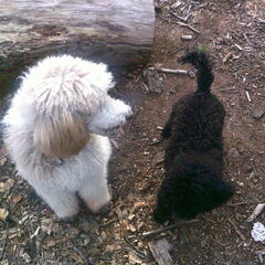 Maud en Noah in Bilthoven
