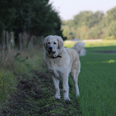 deze foto's zijn van afgelopen zondag; Boris is hier…