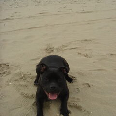 Scheveningen