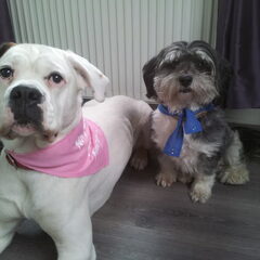 Tommie en Myla