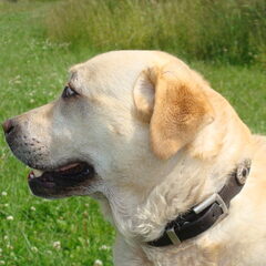 Lieve Tiesto, Bijna 1 jaar geleden dat we jouw moesten…