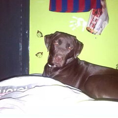 Bij baasje op bed geslapen :D