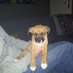 Dit is mijn nieuwe lieverd: Harrie! Wat een schat he!