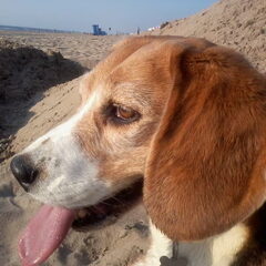 Op het Strand is en blijft genieten voor haar ;)