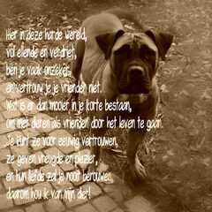 ons belleke
