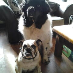 Buck en Marie van mijn ouders