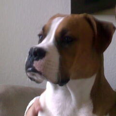 Grmmbll weer een foto!?