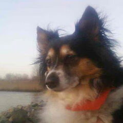 dit is onze maxy