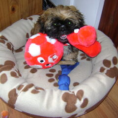Toen was Bruno 9 weken!
