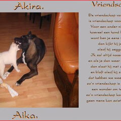 aika & akira spijtig is akira niet meer bij ons,ik mis hem…