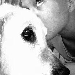 onze lieve hond iwan die we helaas hebben moeten laten…