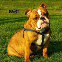 Deze dame is geboren 23-okt-2010 dochter van: mano…