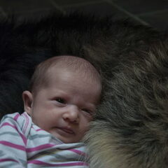 Lizzie 3weken oud