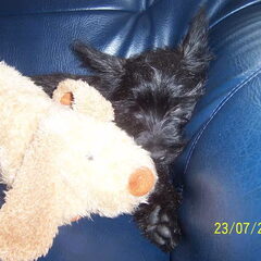 Sleeping..
