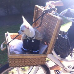 op de fietss