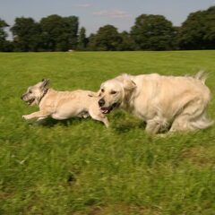 Samen met Nikki