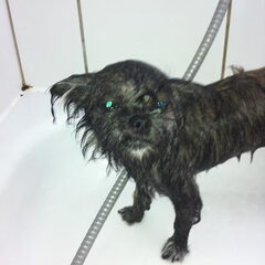 haha Luna in bad :)