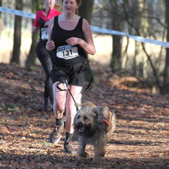 Canicross goirle 2-2-14