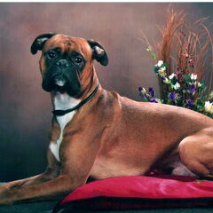 Grando boy