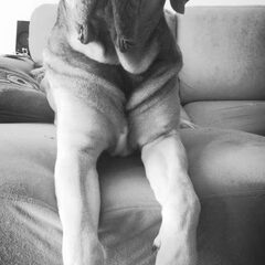 Lieve vito.